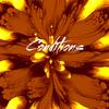 Conditions (Explicit) - Zest Ore
