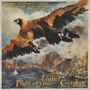 Flight of the Condor - Cosmo Groove