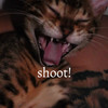 Shoot! (Explicit) - Tj Dizzle SnoMan