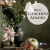 II. Adagio - Frank Peter Zimmermann&Neil Black&English Chamber Orchestra&Jeffrey Tate