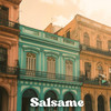 Salsame - Samuele Vivian