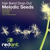 Melodic Seeds - Hair Band Drop-Out