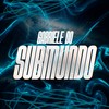 Gabriele Do Submundo (Explicit) - Mc Erikah&Mc Sapinha&DJ Nino MDK&DJ Magna