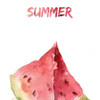 Summer - BadCat-Official