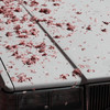 Thru the Glass (Explicit) - Isaac Zale&Jengi