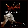 Mali Sénégal - Amkoullel&Didier Awadi&Gunman Xuman&Aminata Danté