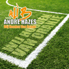 Wij Houden Van Oranje - Ali B&André Hazes