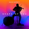 Shape Of You - David Garrett
