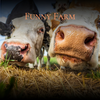 Funny Farm - DJ Freak