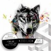 Past Action (Italo! Dub Mix) - Francesco Dinoia