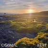 Await - Cosmal