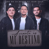 Amarte Es Mi Destino (feat. Juan Caly) - Los De La Verde&Juan Caly