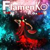 Flamenko (Radio Edit) - Ivan Nasini&Danilo Gariani