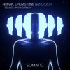 Nano (Senses Of Mind Remix) - Nohak&Senses of Mind