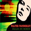 O Barquinho(Little Boat) - Pery Ribeiro&Walter Wanderley&Seu Conjunto