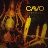 Champagne (Album Version) - Cavo