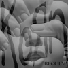 Forgotten - Korn