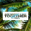 Together - Alex Gaudino&Nari&Pope
