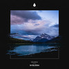 In Bloom - Solanca