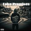 Fake Promises (feat. Muje Spark) (Explicit) - dee wayne&Muje Spark