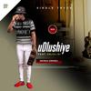 INKINGA AWENELI (feat. MJOLISI) - UDLUSHIYE&Mjolisi