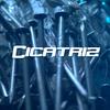 Cicatriz - Systema