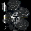 界线Un-real - Bolly