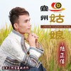 我等你来宜州 - 陆正信