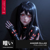 Follow Me - André Pillar