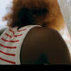 Misteriosa (feat. GILLY LW) (Explicit) - CLAUSON&Gilly LW