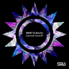 Carnival Tune (Radio Edit) - MANT&Biscits