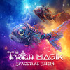Spacetime Sushi - Tristan&Magik (UK)