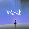 叹人生 - 阿美呀