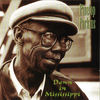 Down In Mississippi - Pinetop Perkins