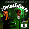 Trembling (Radio Edit) - CarteBlanche&JayPee