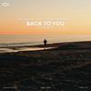 Back To You (Arlane Remix) - Michael ACE&Intrust&Nathan Brumley&Mickaïl Idriss Amalou&David Gräsle&Arlane&Ryan Lane