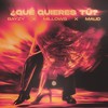 ¿Qué Quieres Tú? - BAYZY&Millows&Maud