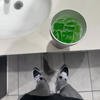 throwed as fuck (feat. YRSquann) (Explicit) - Stepz&YRSquann