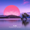 Fragments Of The Past (Extended Mix) - Fløa