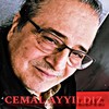 Hesabını Vereceksin - Cemal Ayyıldız