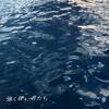 強く儚い者たち - 冨岡愛