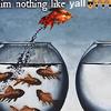 #nothinglikeyall (Explicit) - Linu