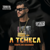 Desce com a Tcheka - Tropa do grandao&Arrochadeira FLuxos