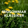 Dunka dumma hjärta dunka - Felicia Takman