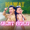 Ulat Bulu - Mawat