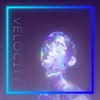 Velocity - Phoenix Rose