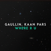 Where R U - Gaullin&Kaan Pars&Linas Gaudutis&Kaan Hatirnaz