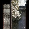 落 - 小馨饱饱
