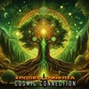 Cosmic Connection - Xposed Inneria