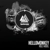 Hospital (Original Mix) - Hellomonkey&DJ Christopher